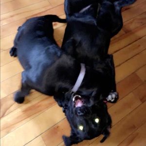 Meet your Posher, Brooke-lyn